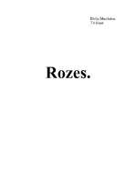 Research Papers 'Rozes', 1.