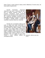 Summaries, Notes 'Madonnas tēls Fra Filipo Lipi, Rafaela un Parmidžanīno darbos', 2.