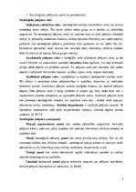 Summaries, Notes 'Socioloģija', 3.