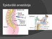 Presentations 'Vietējā anestēzija un blokādes', 16.