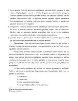 Research Papers 'Atbildība par administratīvo pārkāpumu ceļu satiksmē', 4.