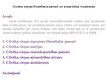 Presentations 'Cilvēka cieņas filozofiskie pamati un aizsardzība mūsdienās', 1.