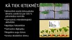 Presentations 'Ekoloģiska katastrofa - Minamatas slimība', 4.