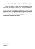 Research Papers 'Civilās aizsardzības plāns Daugavpils pilsētas teritorijā', 11.