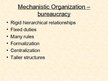 Presentations 'Basic Organization Designs', 14.