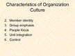 Presentations 'Basic Organization Designs', 20.