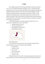 Practice Reports 'Prakses atskaite grāmatvedībā', 3.