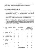 Research Papers 'Bērnu attīstības klubiņa atvēršana Ogres pilsētā', 10.