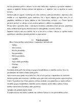 Research Papers 'Bērnu attīstības klubiņa atvēršana Ogres pilsētā', 12.
