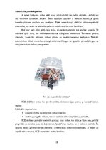 Term Papers 'Elektriskās iekārtas uzstādīšana dzīvojamā mājā', 17.