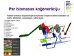 Presentations 'Biomasas koģenerācija Eiropā', 2.