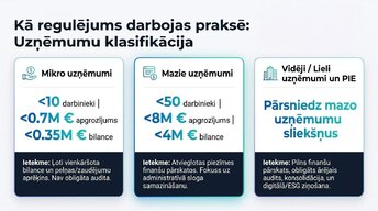 Presentations 'Grāmatvedības uzskaites regulējums Eiropas Savienībā', 4.
