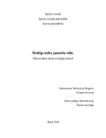 Research Papers 'Medijpratība jauniešu vidū', 1.