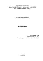 Research Papers 'Ideogrāfiskā rakstība', 1.