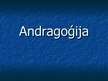 Presentations 'Andragoģija', 1.