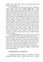 Term Papers 'Medicīnas tūrisma iespēju ietekme uz pakalpojumu saņemšanas uzlabošanu', 25.