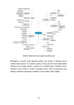 Term Papers 'Medicīnas tūrisma iespēju ietekme uz pakalpojumu saņemšanas uzlabošanu', 33.