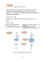 Term Papers 'Medicīnas tūrisma iespēju ietekme uz pakalpojumu saņemšanas uzlabošanu', 43.