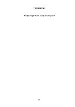 Term Papers 'Medicīnas tūrisma iespēju ietekme uz pakalpojumu saņemšanas uzlabošanu', 69.