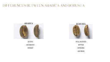 Summaries, Notes 'THE ORIGIN OF COFFEE', 4.