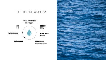 Summaries, Notes 'THE ORIGIN OF COFFEE', 8.