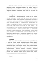 Research Papers 'Litosfēras plātņu izmantošana', 10.