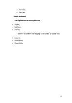 Practice Reports 'Prakses atskaite studiju kursā “Tirgvedība”', 11.
