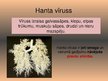 Presentations 'Vīrusu pasaule', 15.