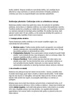 Summaries, Notes 'Babiloni: vēsture, kultūra, mitoloģija, sabiedrība un kultūras mantojums', 19.