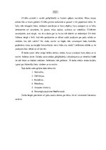 Research Papers 'Vārdi un to nozīme', 2.