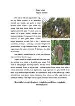 Research Papers 'Pasaules interesantākie koki', 5.