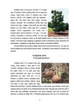 Research Papers 'Pasaules interesantākie koki', 6.