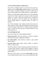 Essays 'Naivais reālisms un cilvēka uztveres psiholoģija', 1.