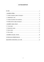 Research Papers 'Kredītu veidu struktūra un analīze Latvijas tirgū', 2.