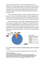 Research Papers 'Kredītu veidu struktūra un analīze Latvijas tirgū', 20.