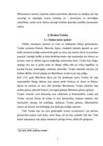 Research Papers 'Dižrenesanses krāsu meistars Ticiāns Večelio', 5.