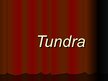 Presentations 'Tundra', 1.