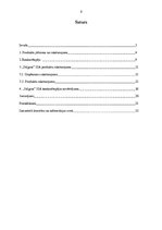Practice Reports 'SIA "Stilgras" produkta raksturojums un konkurētspējas novērtējums', 3.