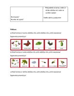 Summaries, Notes 'Nodarbību plāns 4.klasei Dabaszinībās', 3.