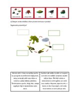 Summaries, Notes 'Nodarbību plāns 4.klasei Dabaszinībās', 4.