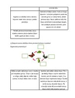 Summaries, Notes 'Nodarbību plāns 4.klasei Dabaszinībās', 5.