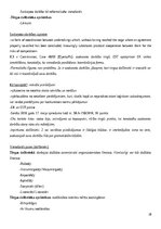 Summaries, Notes 'Konkurences tiesību regulējums Eiropas Savienībā', 28.