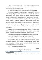 Term Papers 'Gada pārskata sastādīšana un tā finanšu rādītāju analīze sabiedrībā ar ierobežot', 30.