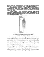 Research Papers 'Stiebrzāļu sugu sakņu sistēmas veidošanās un nozīme produktīvu zelmeņu veidošanā', 15.