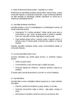 Research Papers 'Mindfulness un apzinātība ikdienā', 7.