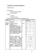Term Papers 'Basketbola tehnisko paņēmienu pilnveidošanas metodika skolā', 46.
