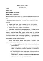 Practice Reports 'Aktīvā mācību un audzināšanas prakse sākumskolā', 3.