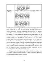 Practice Reports 'Aktīvā mācību un audzināšanas prakse sākumskolā', 26.