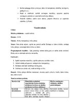 Practice Reports 'Aktīvā mācību un audzināšanas prakse sākumskolā', 29.