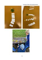 Practice Reports 'Aktīvā mācību un audzināšanas prakse sākumskolā', 35.